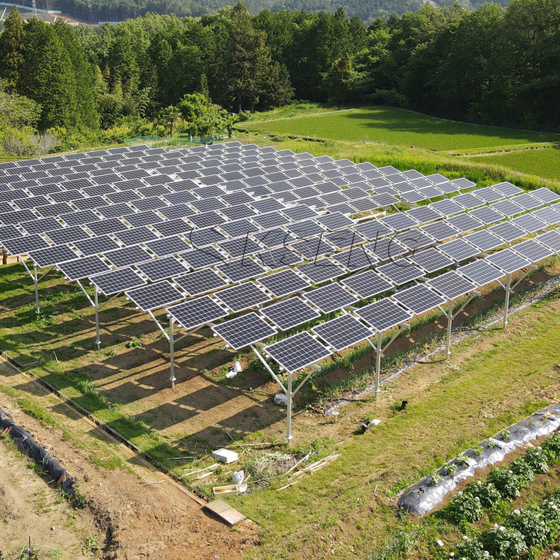 1MW for PV Agricultural Photov - Agriculture Farming Services incelemesi ve fiyatı