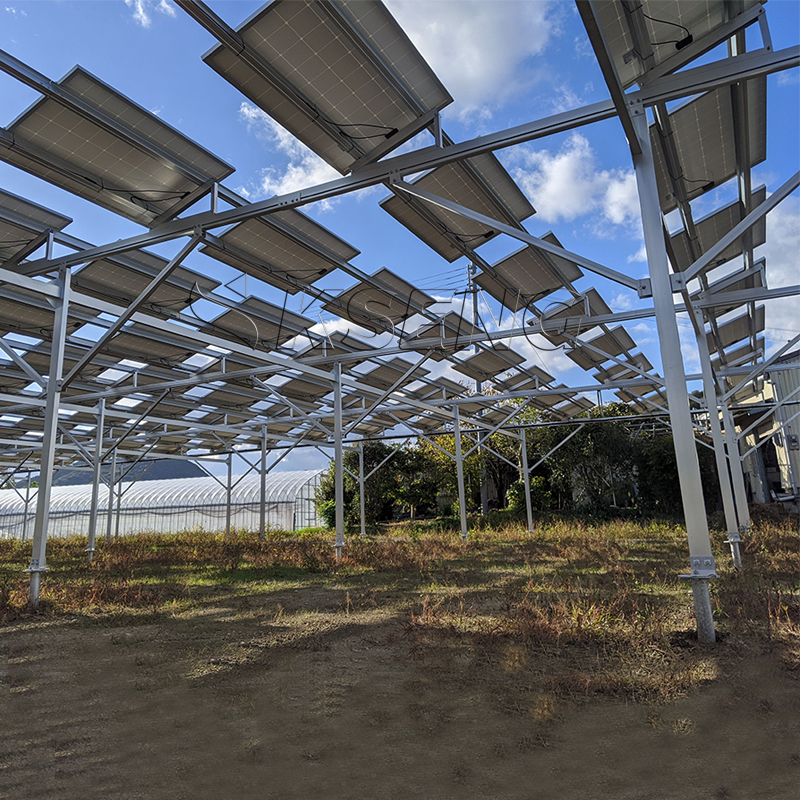 1MW for PV Agricultural Photov - Agriculture Farming Services incelemesi ve fiyatı