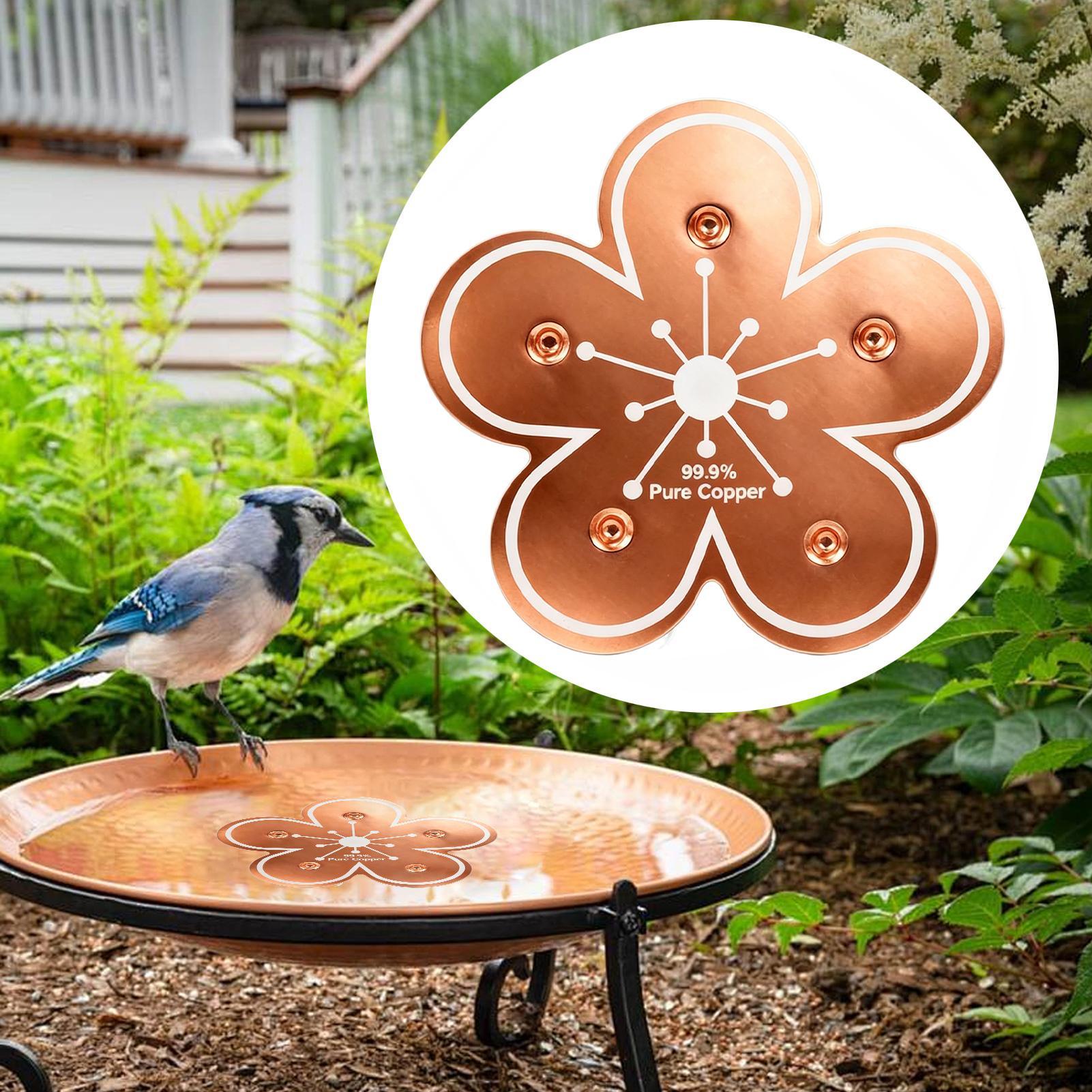 Bird bath tray Copper Bird Bat - Farming For Agriculture incelemesi ve fiyatı