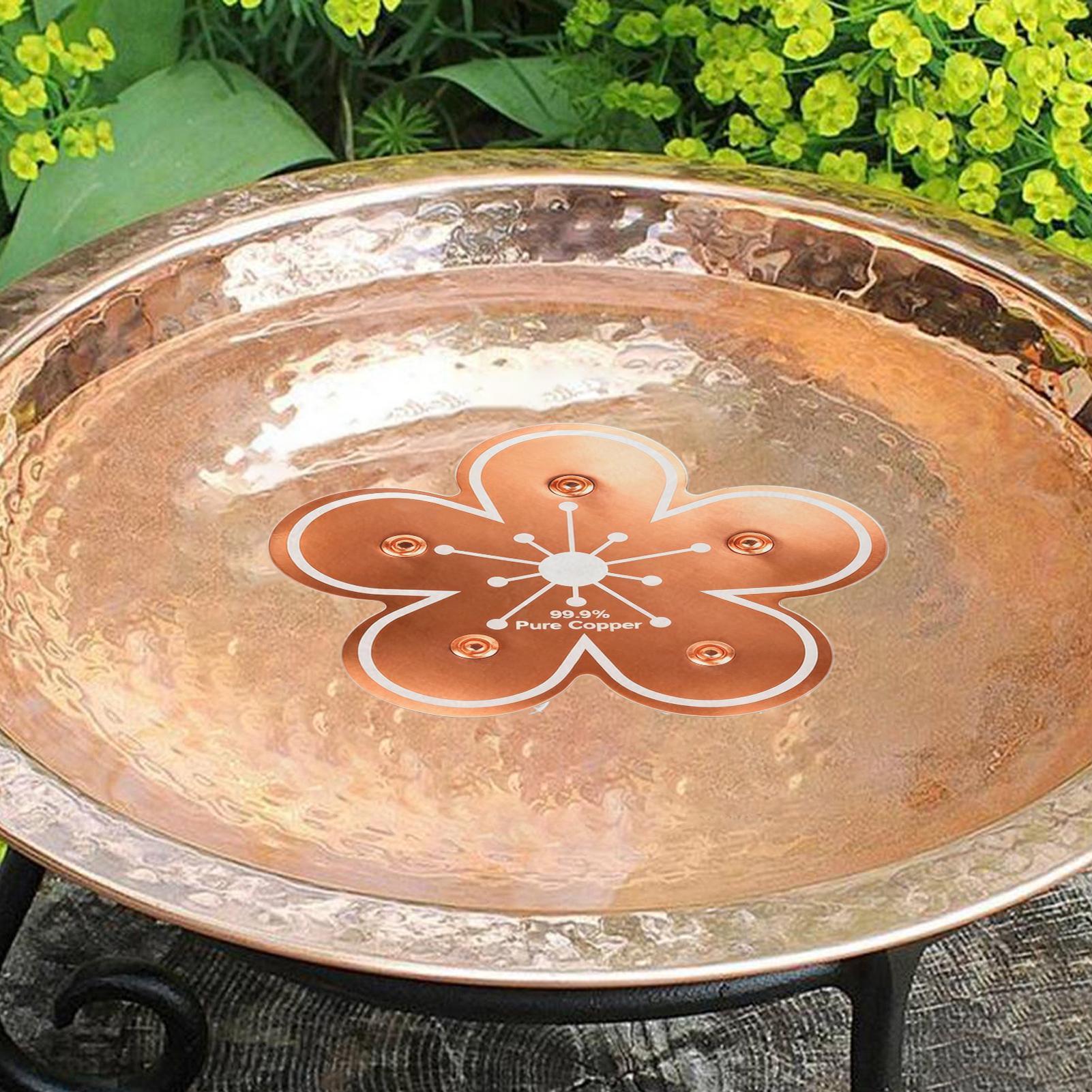 Bird bath tray Copper Bird Bat - Farming For Agriculture incelemesi ve fiyatı