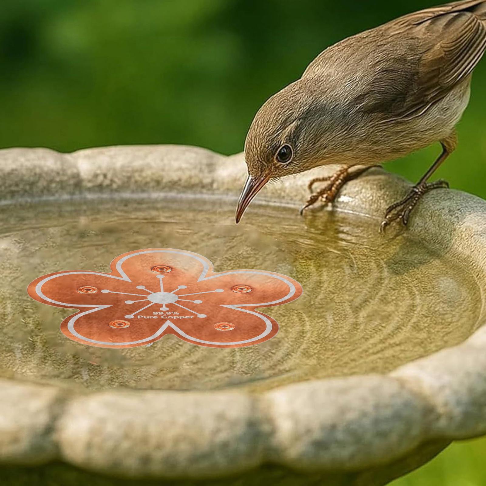 Bird bath tray Copper Bird Bat - Farming For Agriculture incelemesi ve fiyatı