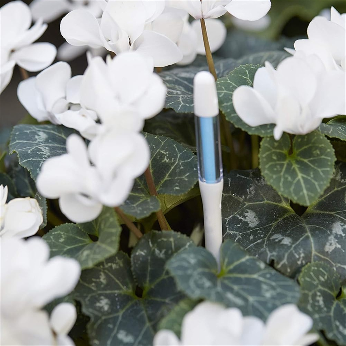 ABNJ Aquameter, 5pcs, Plant So - Soil Moisture Sensor incelemesi ve fiyatı