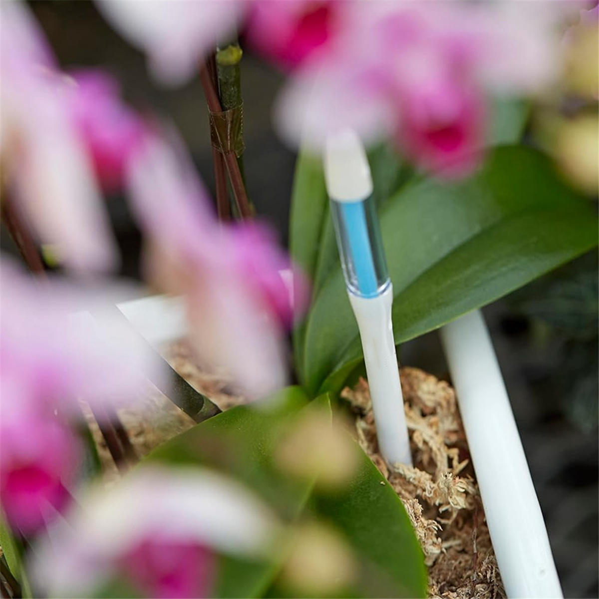 ABNJ Aquameter, 5pcs, Plant So - Soil Moisture Sensor incelemesi ve fiyatı
