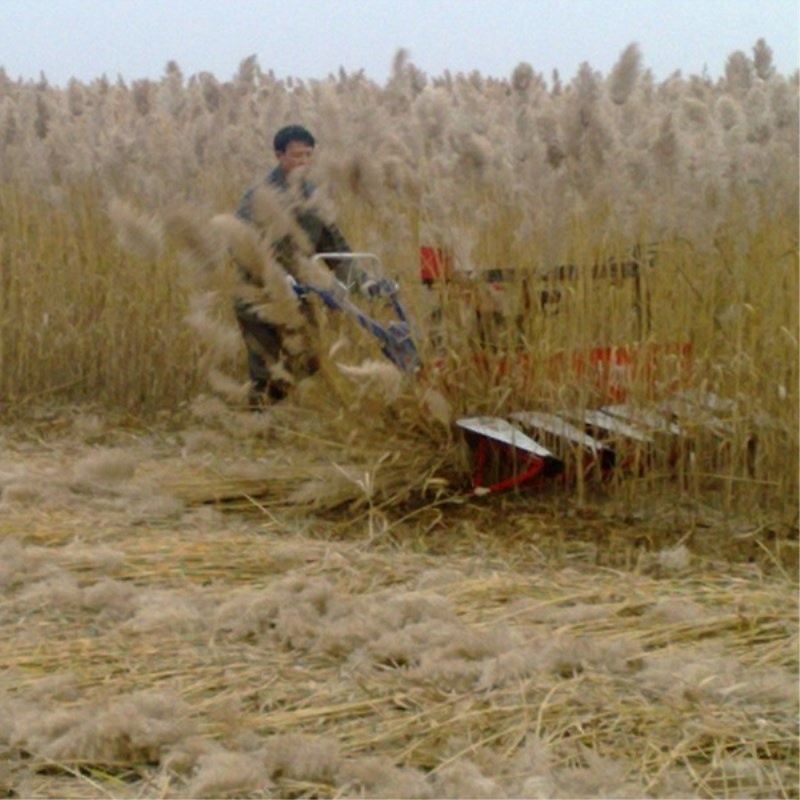 Farm Equipment Small Handy Agr - Agriculture.Farming Design incelemesi ve fiyatı
