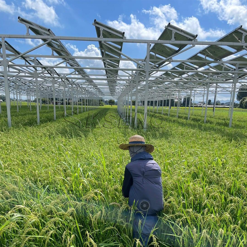 Japan`s New Agriculture Alumin - Agriculture Farming News incelemesi ve fiyatı